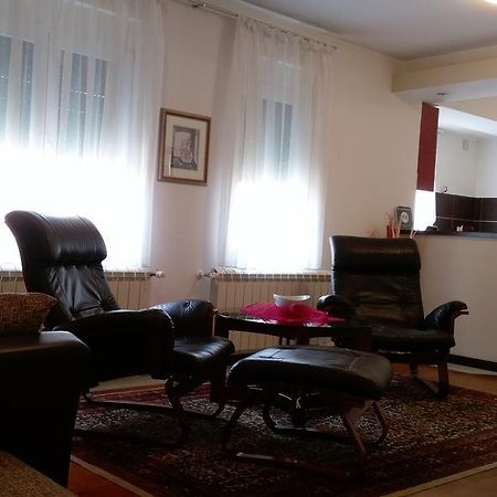 Apartment Krsmanovic Aranđelovac Eksteriør billede